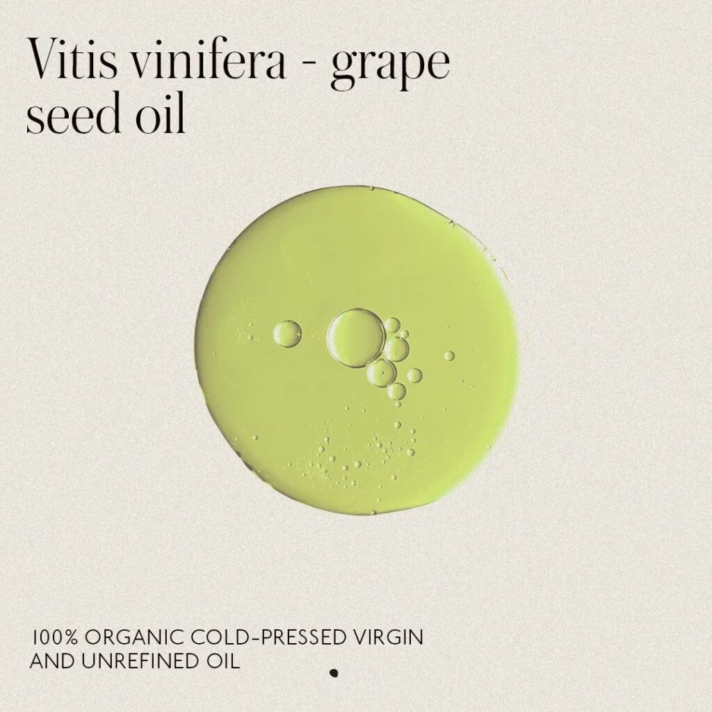 vitis vinifera grapeseed oil